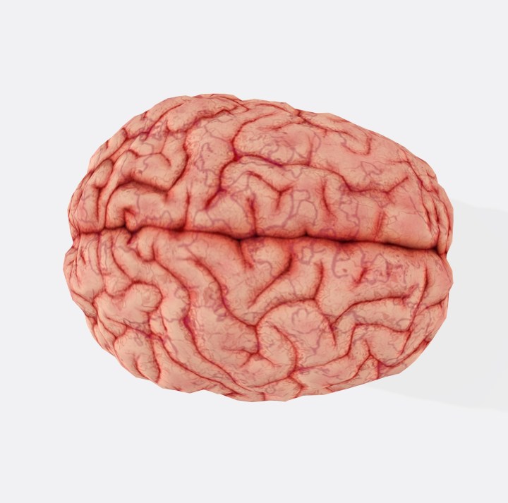 Chronic Traumatic Encephalopathy in the&nbsp;NFL