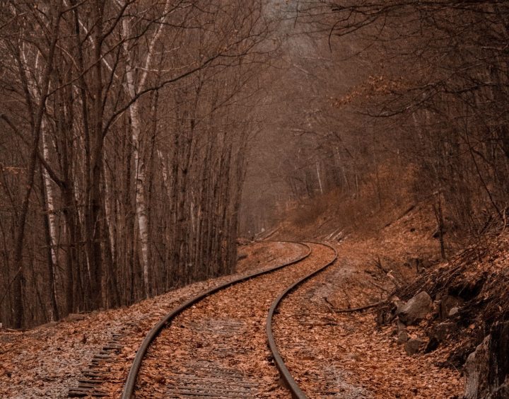 Meeting with a&nbsp;Stranger